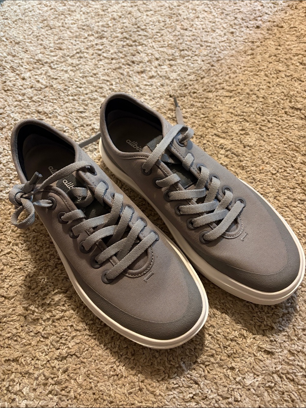 Allbirds Grey Low-Top Canvas Sneakers